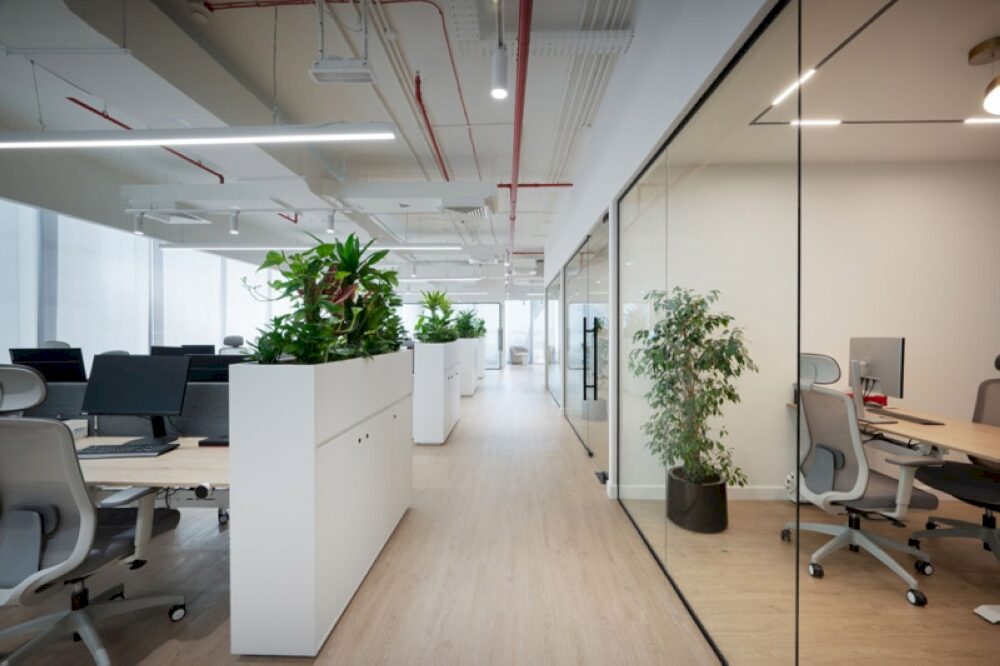 Doanh nghiệp cần cân nhắc kỹ lưỡng các yếu tố như nhu cầu, ngân sách và điều khoản hợp đồng trước khi quyết định thuê